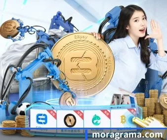 爱游戏网站入口 APP